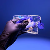 Transparent Blue Crocodile Squishy