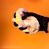 Gummy Frosted Cake Squishy