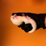 Crystal Bear Cream Stick Squishy