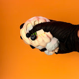 Blueberry Coconut Cake Squishy