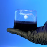 Cosmic Vortex Squishy